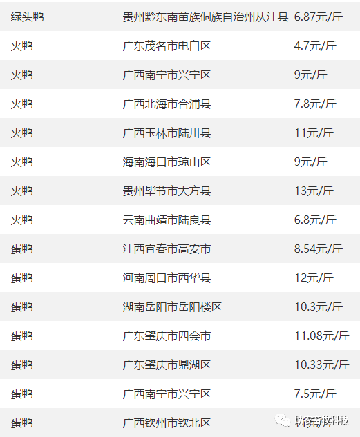 鹅养殖项目_养鹅致富经_致富经 鹅养殖业