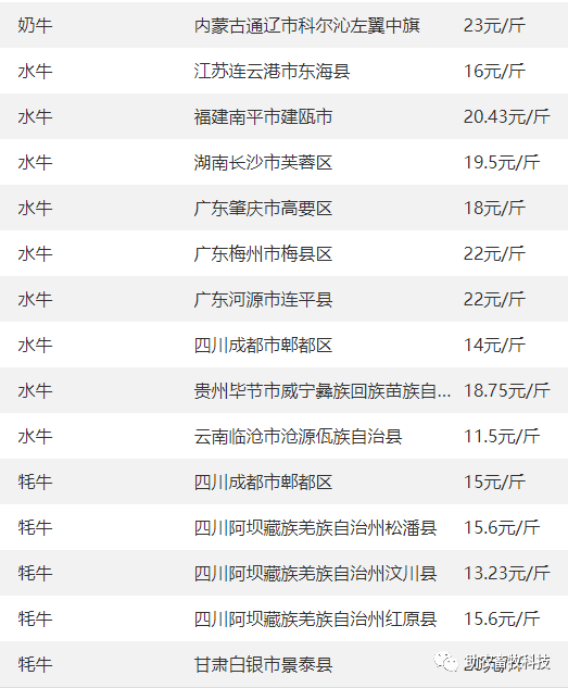 养鹅致富经_致富经 鹅养殖业_鹅养殖项目