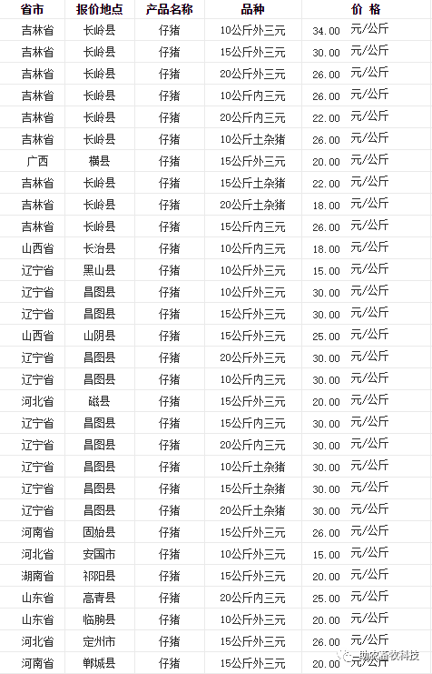 鹅养殖项目_养鹅致富经_致富经 鹅养殖业