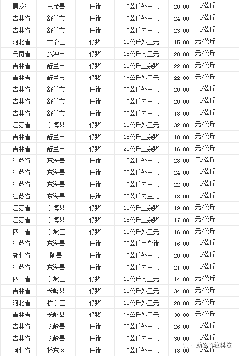 致富经 鹅养殖业_养鹅致富经_鹅养殖项目