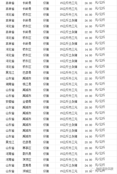 致富经 鹅养殖业_养鹅致富经_鹅养殖项目