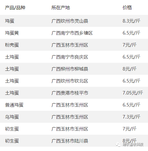 鹅养殖项目_养鹅致富经_致富经 鹅养殖业