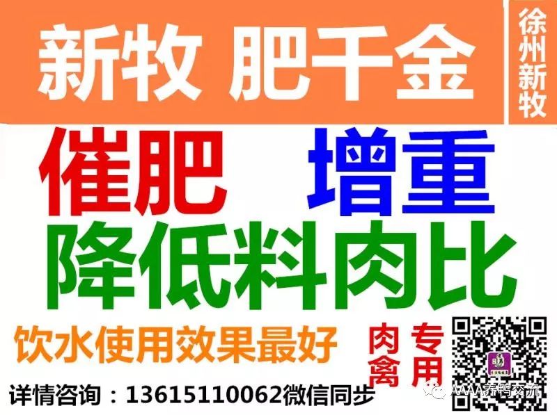 旱鸭养殖视频_旱鸭养殖技术_旱鸭养殖成本及利润