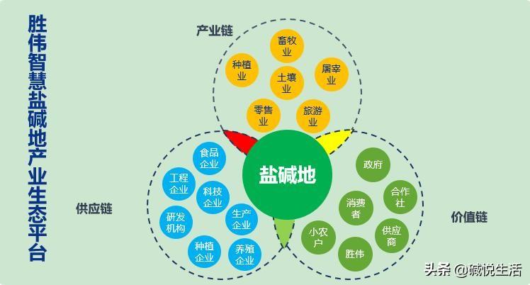 养奶山羊挣钱吗_沙能奶山羊养殖技术_奶山羊饲养