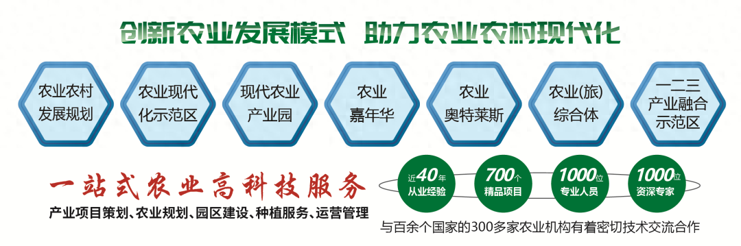 富通助力凌云县2023年村庄规划，探讨“千万工程”凌云发展路径