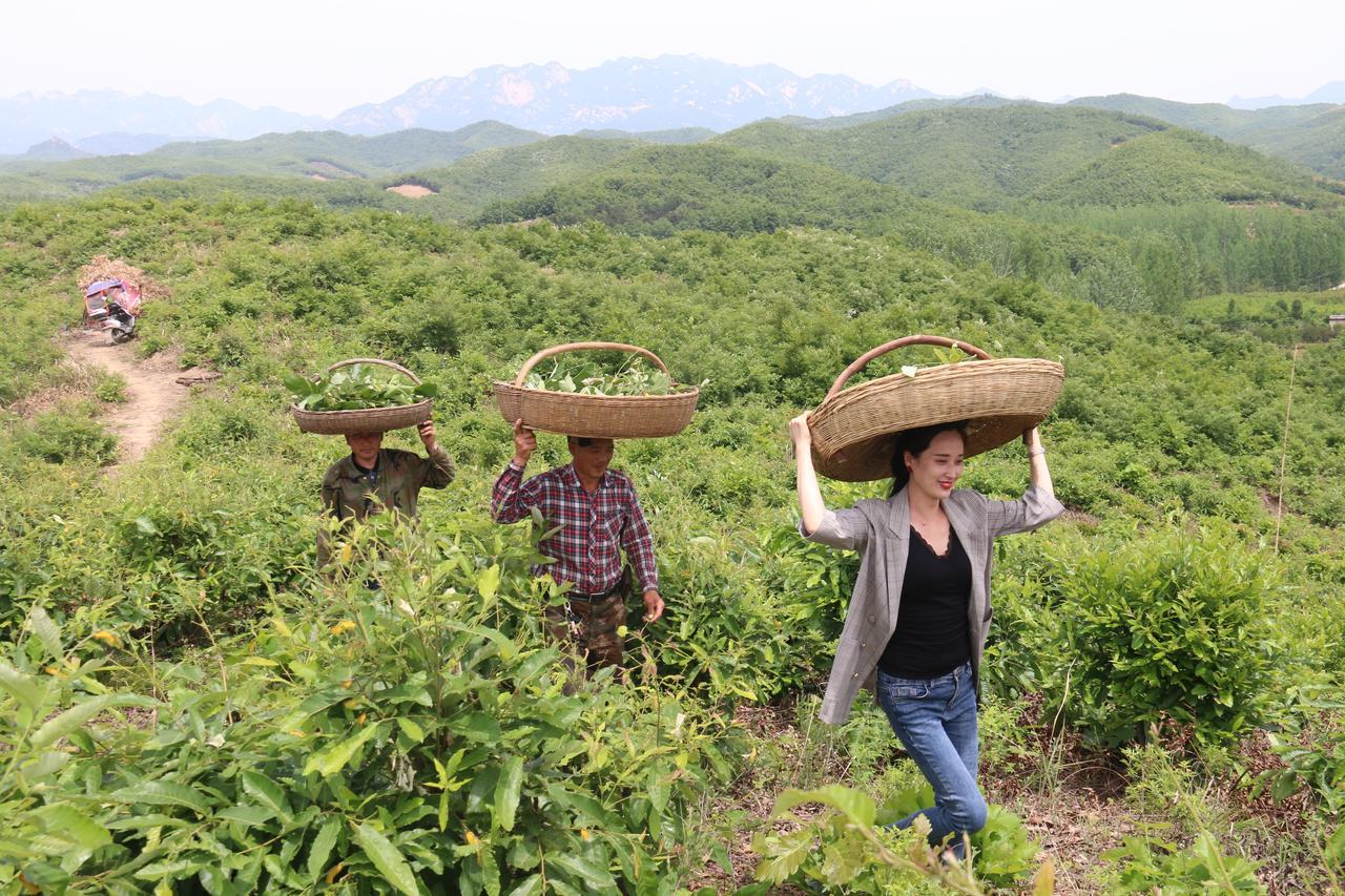 致富经 一根扁担故事_致富经 一根扁担故事_致富经 一根扁担故事