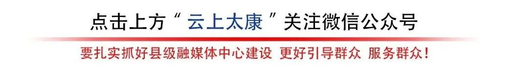 【乡村振兴】太康：“蒜”好致富增收账 抢抓农时种蒜忙