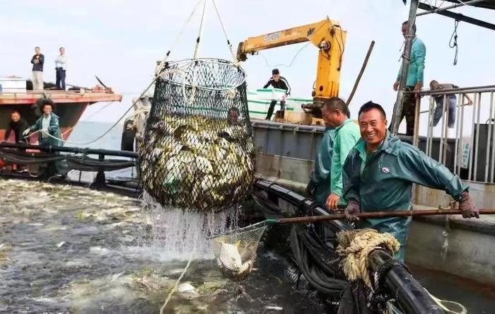 科技引领 湛江如何打造全球水产产业高地？