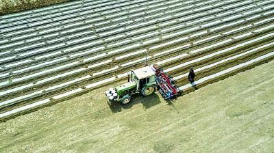 农博士在行动西瓜高产施肥技术_农广天地旱地西瓜种植技术_农广天地种植西瓜技术视频