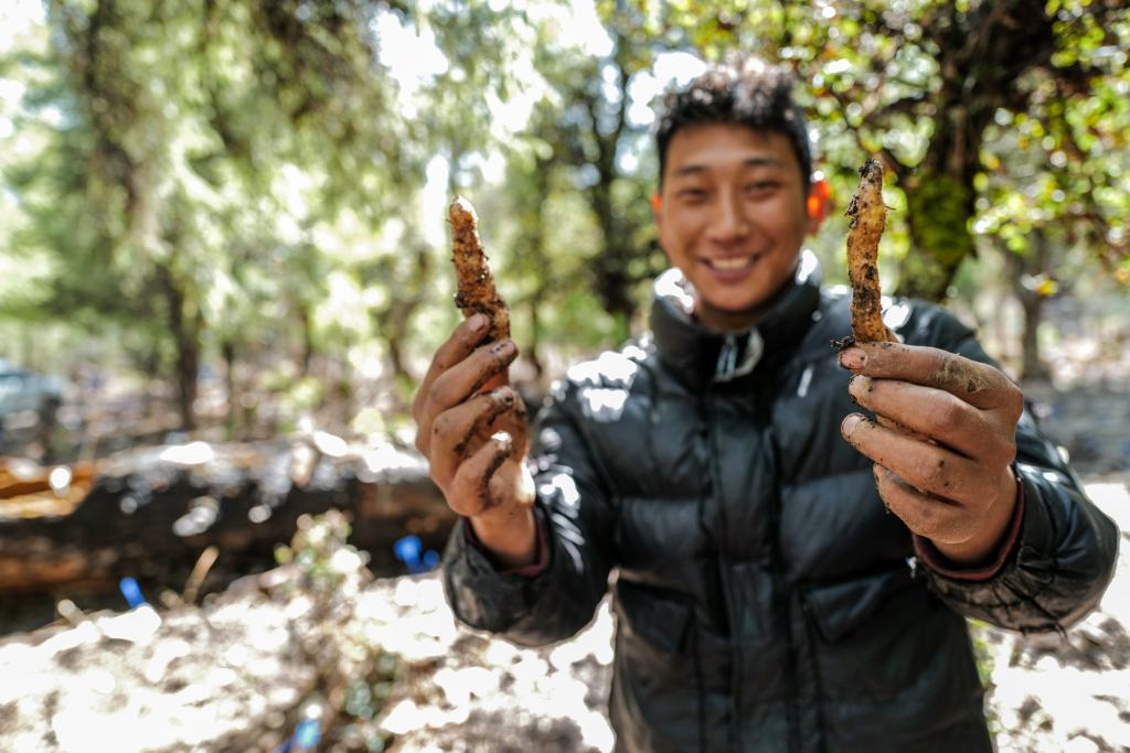 种植致富业_夏季种植致富技术_种植致富新项目