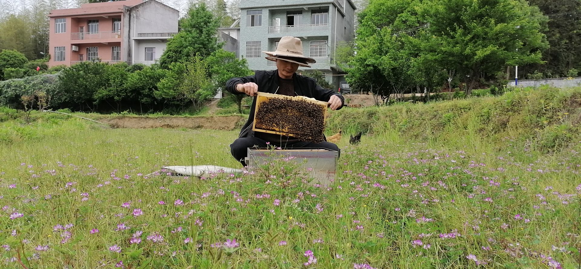 致富经养蜜蜂2018_蜜蜂养殖致富_致富经养蜜蜂致富视频