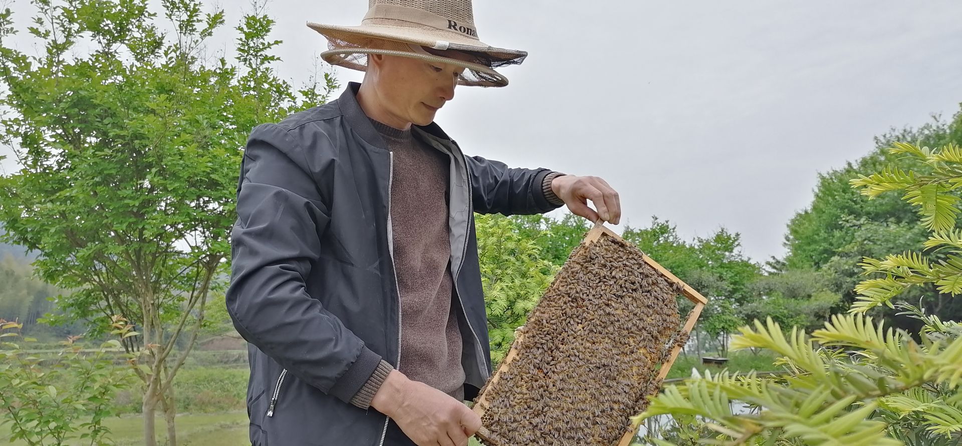 致富经养蜜蜂致富视频_致富经养蜜蜂2018_蜜蜂养殖致富