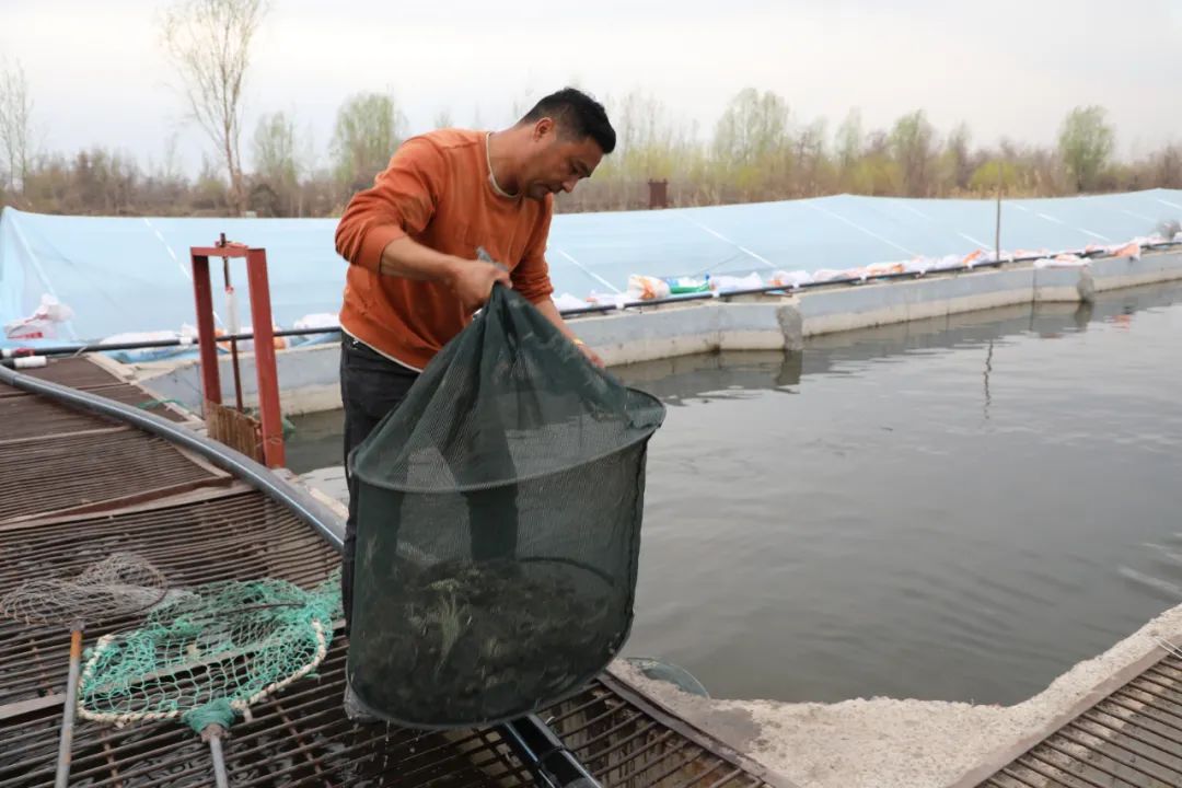 伊犁水产养殖掀起“致富浪花”