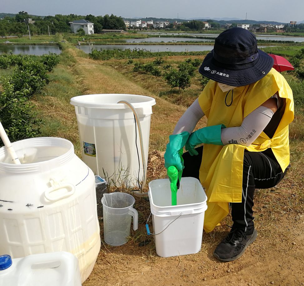 冰糖橙种植气候条件_冰糖橙种植技术视频_冰糖橙的种植技术