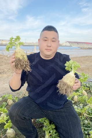 “芹”劳致富有奔头 特色蔬菜成新宠