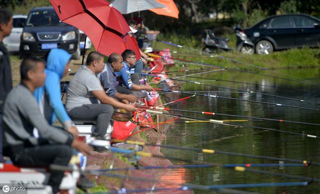 涉农投资：农村5亩小鱼塘这么养鱼，也能轻松实现年入过10万元