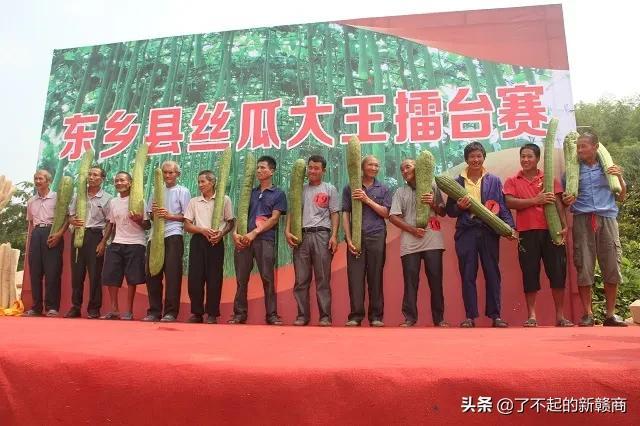 福建丝瓜种植_江西丝瓜种植致富_江西的丝瓜络种植基地