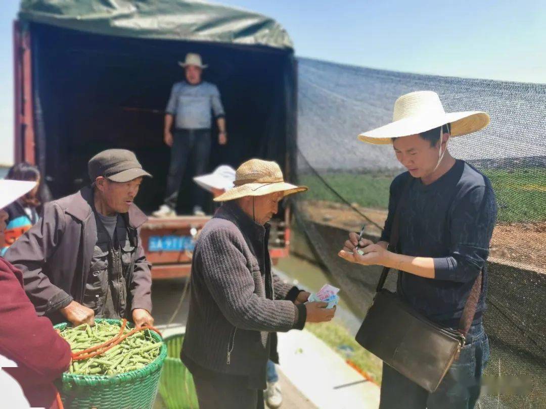 致富经种植三种水果亩收入过亿_水果种植致富方案_致富水果种植方案怎么写