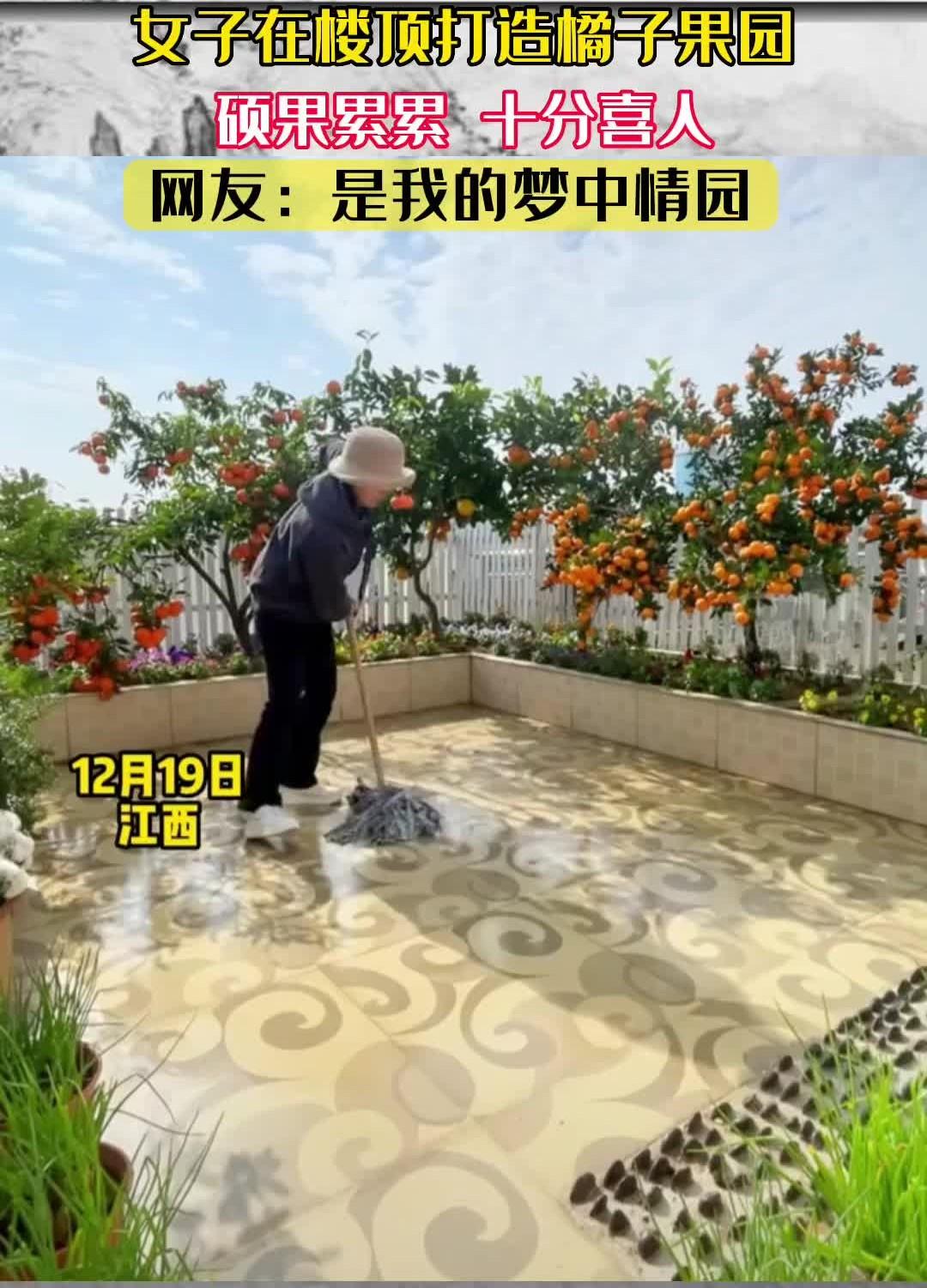 江西的丝瓜络种植基地_江西丝瓜种植致富_致富江西种植丝瓜视频