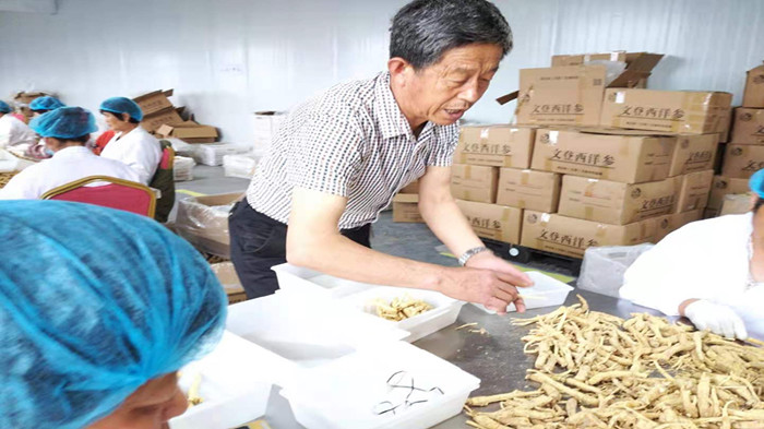 山东种植致富菜_山东农村种植致富好项目_山东种菜