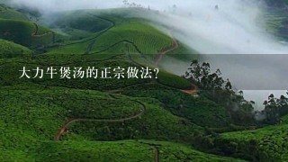 大力牛煲汤的正宗做法？