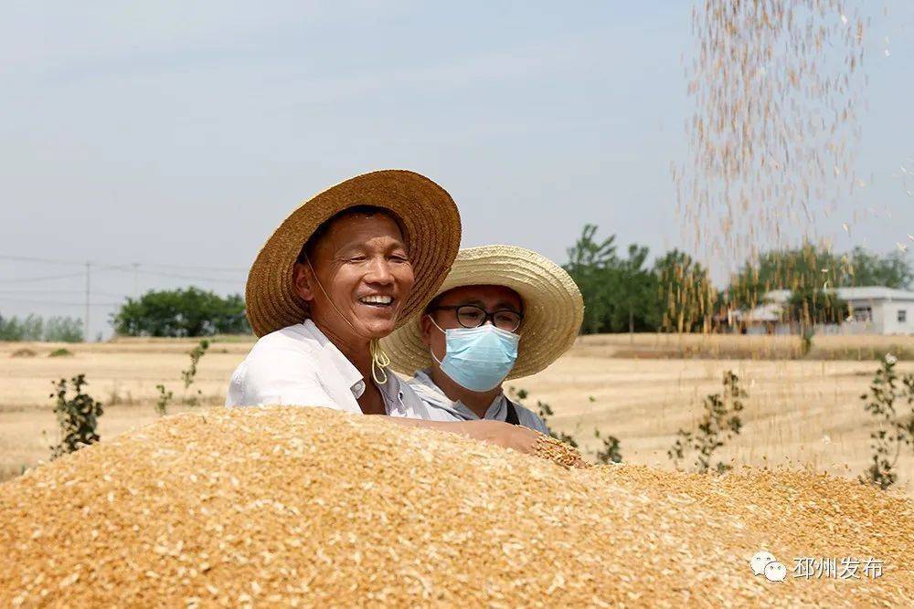 水稻致富那人叫啥名_种植致富稻视频_致富经种植水稻视频