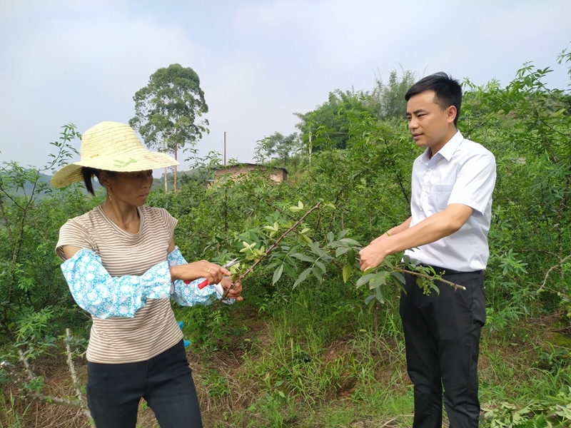 鲜花采摘工_采摘园挣钱吗_致富经鲜花园采摘