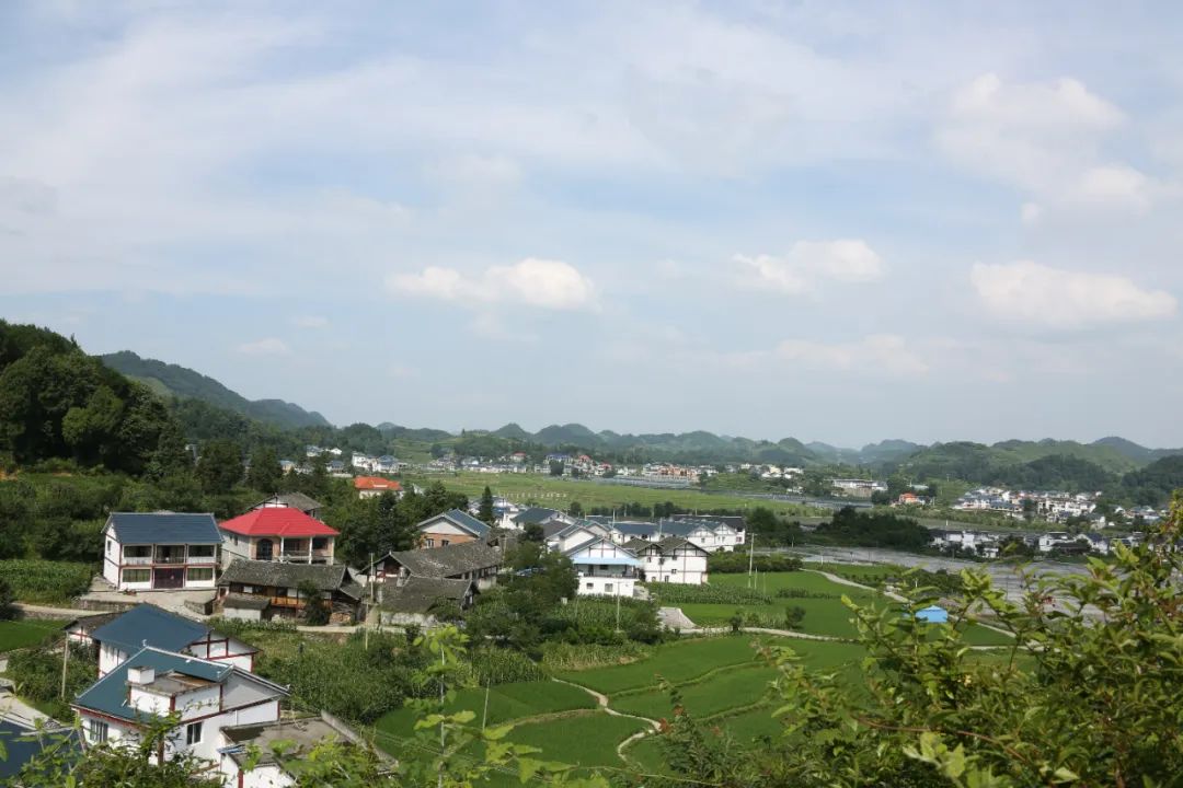 沿着总书记的足迹｜花茂村“变形记”：从“百废待兴”到“花繁叶茂”