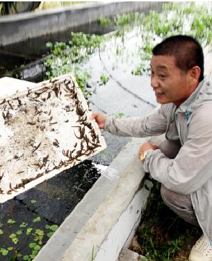 养殖致富视频_致富经养蚂蟥创业视频_致富经养蚂蟥视频