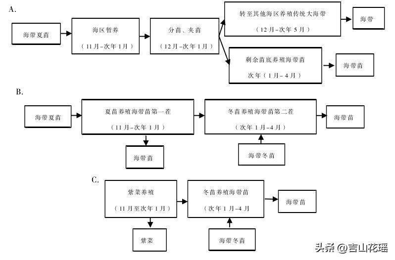 海参苗室_海参苗养殖视频教程_海参苗养殖技术视频教学