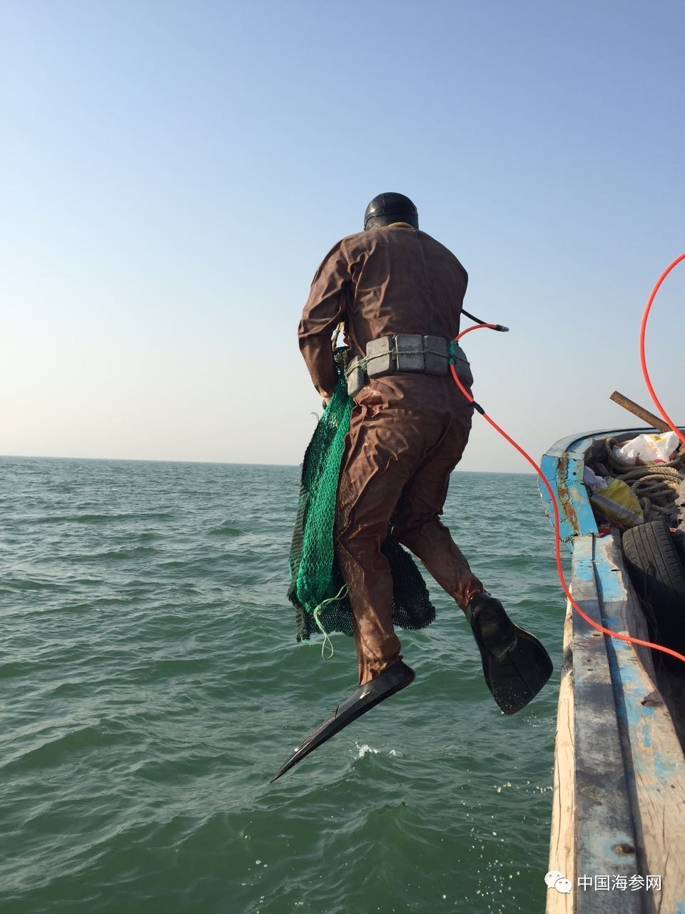 海参苗养殖技术视频教学_苗室海参养殖技术1_海参苗养殖视频教程