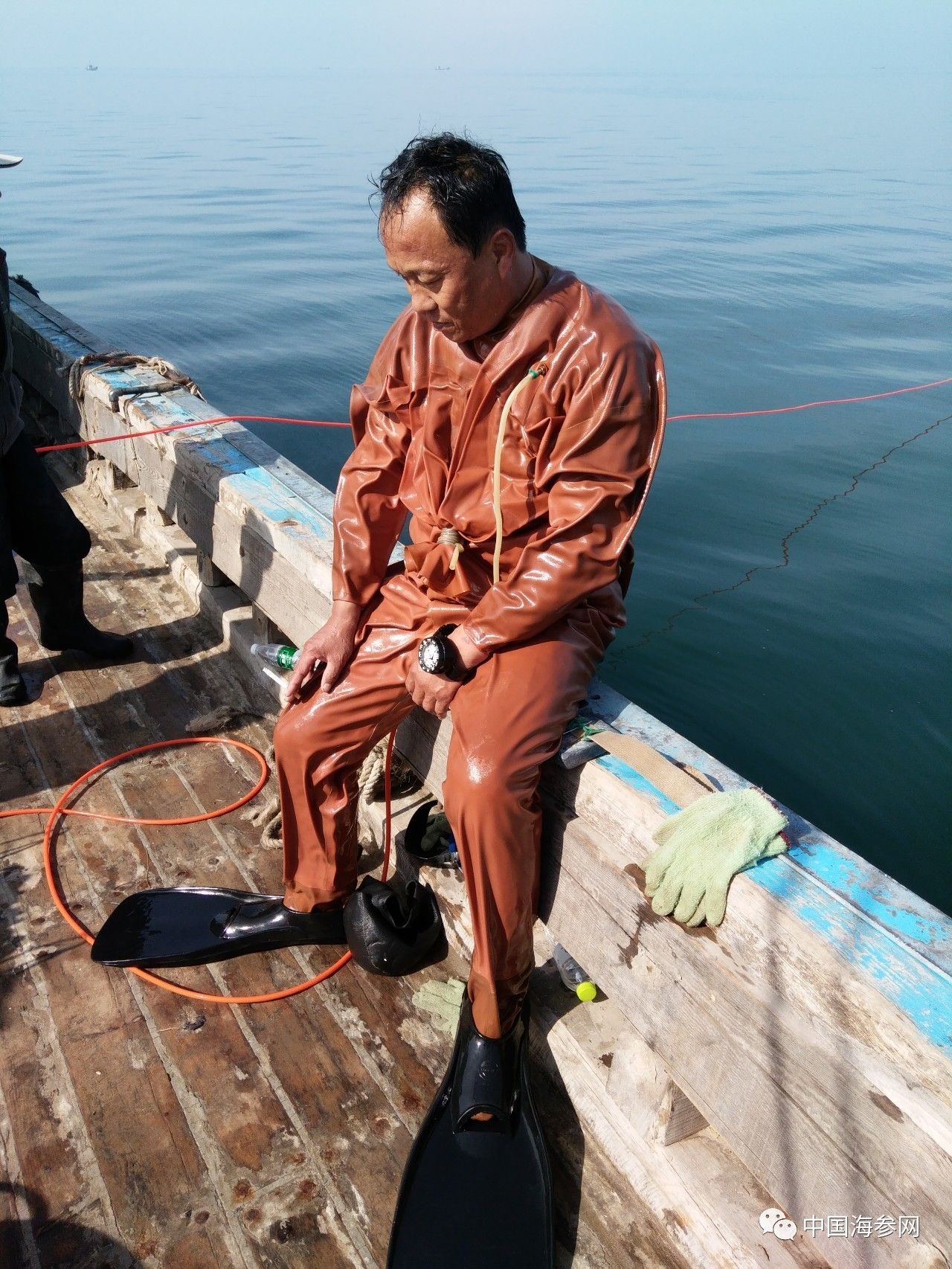 海参苗养殖技术视频教学_海参苗养殖视频教程_苗室海参养殖技术1