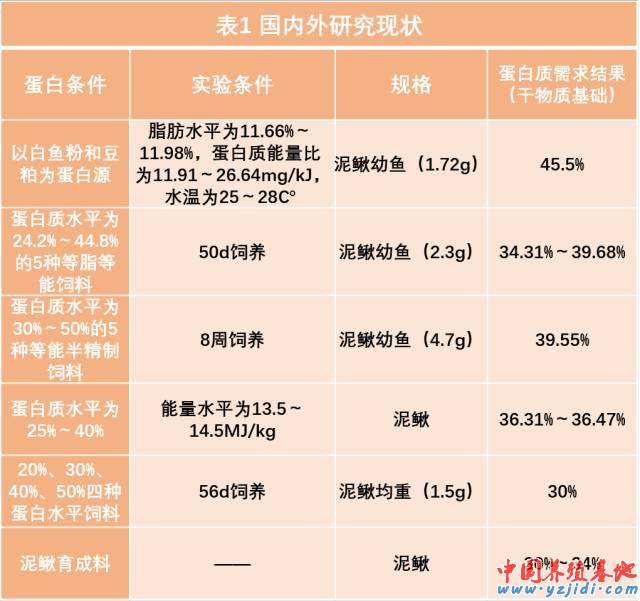 提供泥鳅养殖技术_养殖泥鳅技术提供方案_养殖泥鳅技术提供什么服务