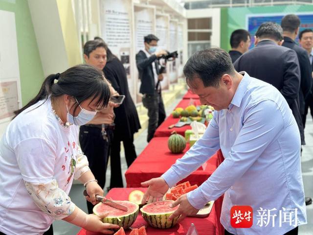 种植西瓜增收致富_农业种植致富项目西瓜_西瓜致富经