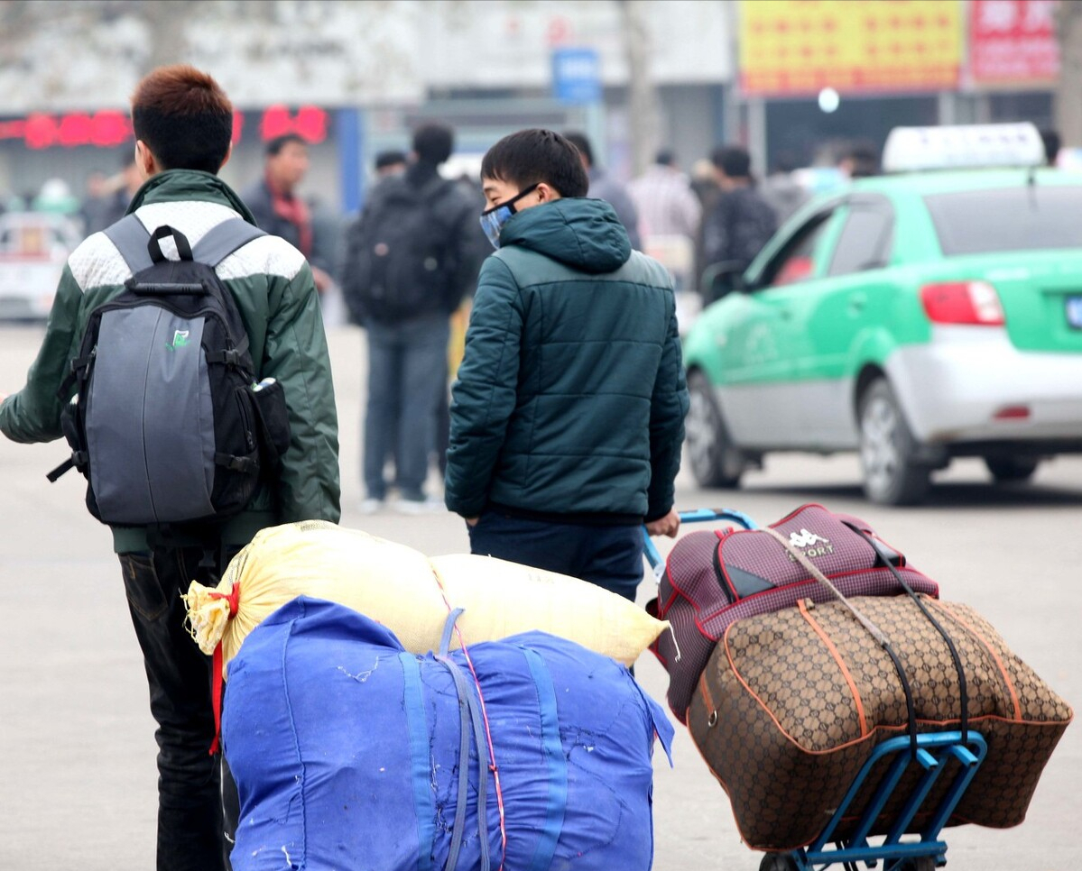 视频致富散养鸡是真的吗_散养鸡致富经视频_致富经散养蛋鸡视频