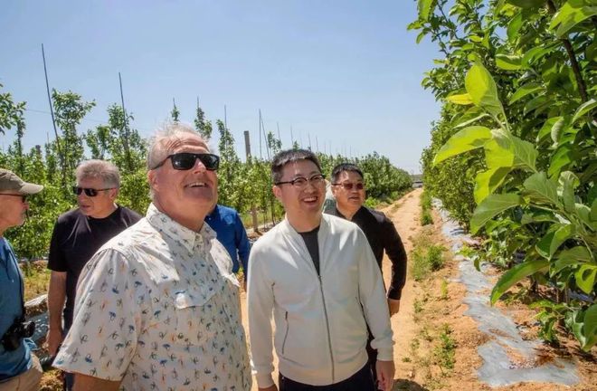 致富经种植苹果发财视频_致富经他创业种苹果_种植苹果致富