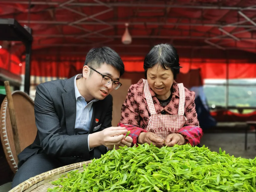 致富三农种植技术有哪些_致富三农种植技术是什么_三农种植致富技术