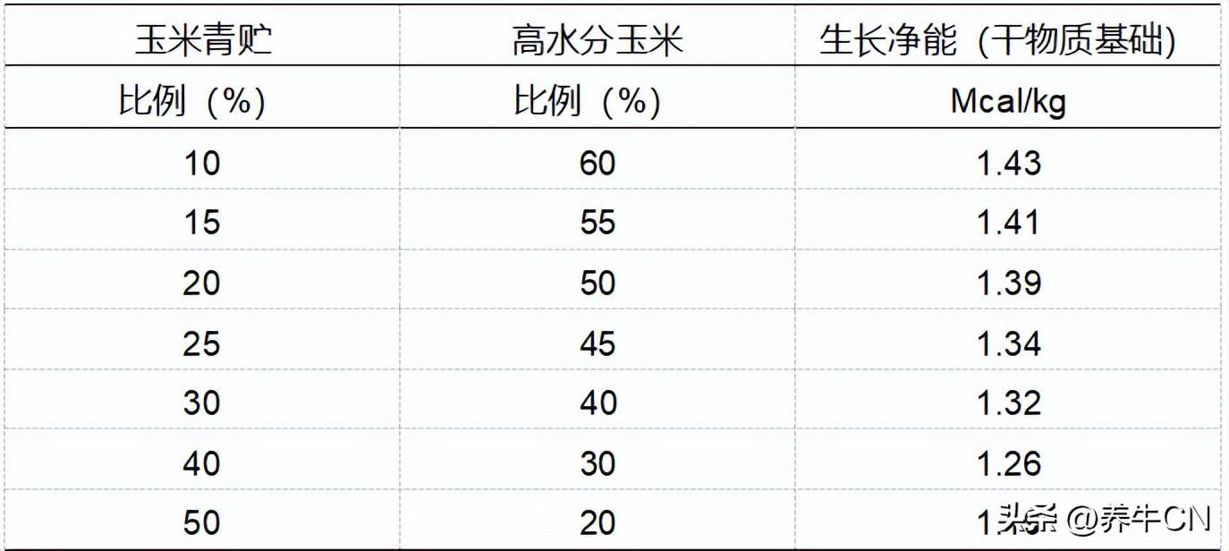 国外肉牛养殖技术视频_美国肉牛养殖技术视频_国外肉牛养殖场视频