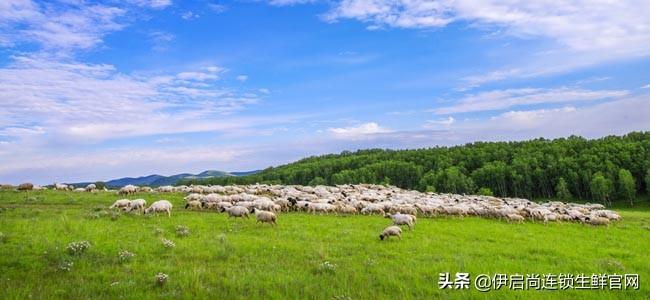 不同的国家，牛肉品种和饲养方式也不同，牛肉口感有很大的差异