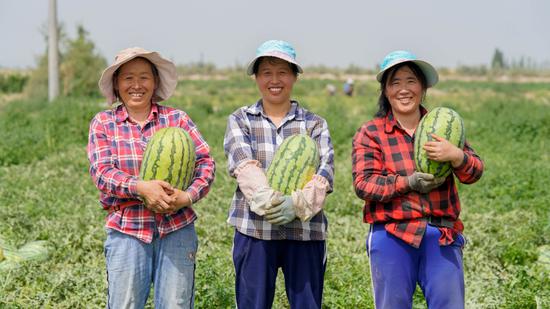 图为7月5日，尉犁县兴平镇哈拉洪村特色瓜果示范园西瓜丰收，瓜农笑开颜。王雪 摄