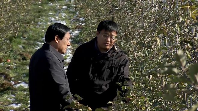 致富经他创业种苹果_苹果致富经_致富经种植苹果发财视频