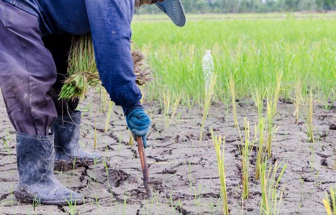 致富经种植苹果发财视频_苹果致富经_致富经他创业种苹果