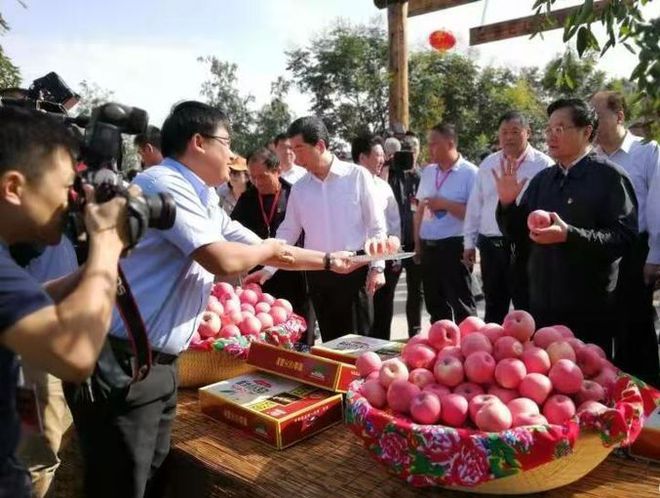 致富经种植苹果发财视频_苹果致富经_致富经他创业种苹果