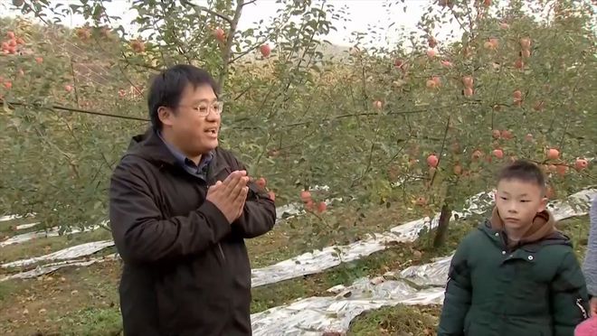 致富经种植苹果发财视频_致富经他创业种苹果_苹果致富经