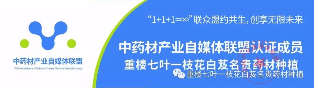 药材种植业致富项目_农村种植药材致富项目_种植药材 致富项目