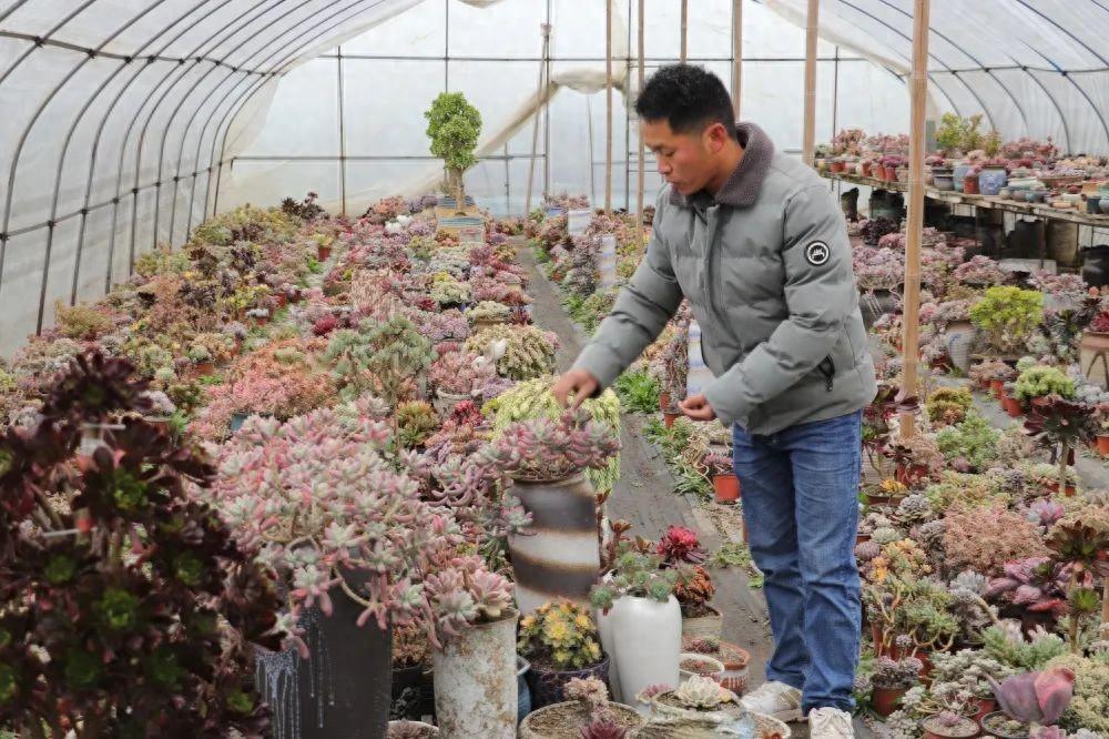 贵州养殖什么最好最赚钱_贵州养殖业什么最赚钱_致富经贵州养殖最赚钱