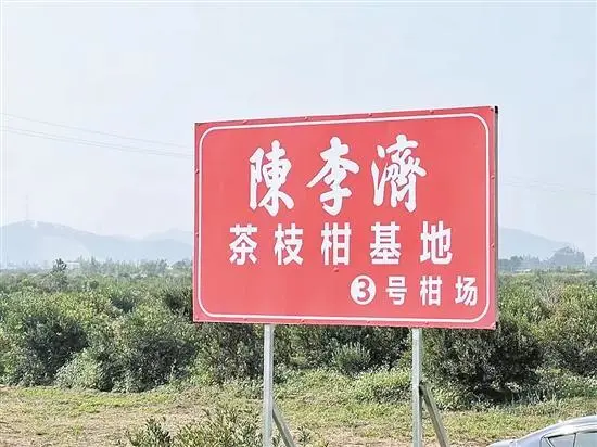 农民致富种植项目_粤西地区适合种植什么药材_粤西农村种植致富