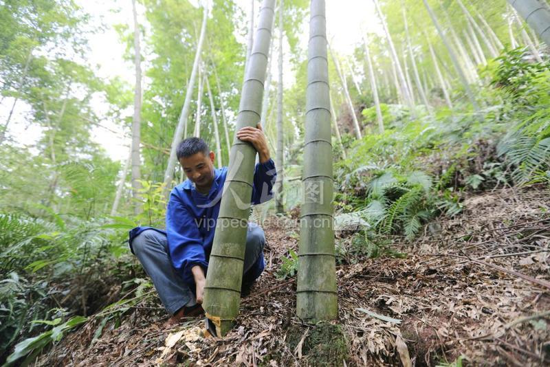 致富贵州养殖赚钱吗现在_贵州养殖业什么最赚钱_致富经贵州养殖最赚钱