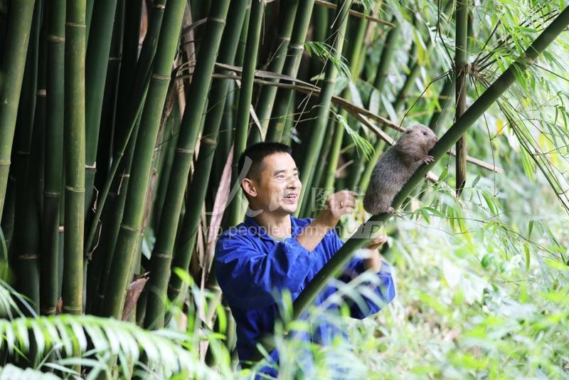 致富贵州养殖赚钱吗现在_致富经贵州养殖最赚钱_贵州养殖业什么最赚钱