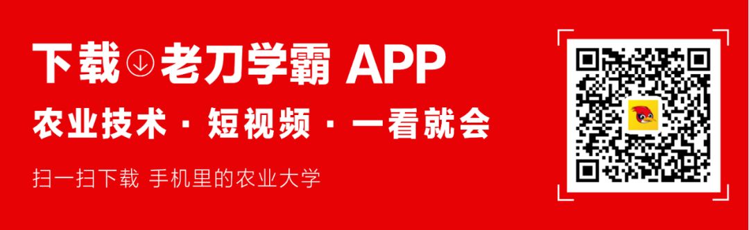 春茬拱棚西瓜成长过程中应该怎样通风？有何技术要点